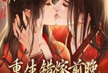 重生错嫁前晚，我找上前夫他爹这本小说怎么样？免费在线阅读试试-贝壳文学