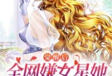 小说《觉醒后,全网嫌女星她只演戏不恋爱》章节免费阅读-贝壳文学