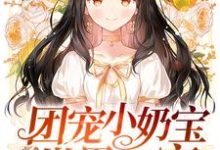 完结版《团宠小奶宝是世界首富》章节阅读-贝壳文学