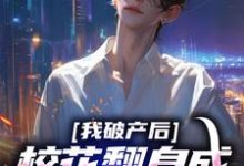 陈述苏晴晚小说我破产后,校花翻身成总裁要养我?在线阅读章节-贝壳文学