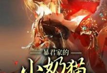 暴君家的小奶猫恃宠而骄小说有没有完整的免费版本在线阅读？-贝壳文学
