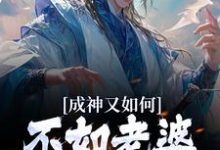 求成神又如何，不如老婆孩子热炕头小说免费资源-贝壳文学