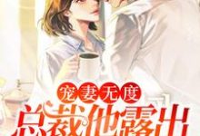 宠妻无度：总裁他露出狐狸尾巴了 颜初宋宴回，宠妻无度：总裁他露出狐狸尾巴了最新章节-贝壳文学