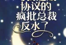 闪婚夜，与我达成协议的疯批总裁反水了最新章节，闪婚夜，与我达成协议的疯批总裁反水了免费阅读-贝壳文学