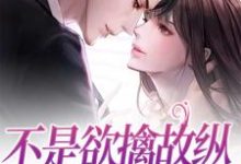 段正楠温暖小说不是欲擒故纵，小姐她真怕你在线阅读-贝壳文学