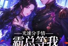 完结版《光速分手,霸总等我给名分》章节阅读-贝壳文学