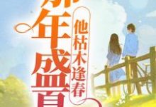 求那年盛夏,他枯木逢春小说的全文免费阅读链接-贝壳文学