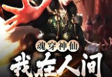 魂穿神仙，我在人间装疯卖傻小说，魂穿神仙，我在人间装疯卖傻在线阅读-贝壳文学
