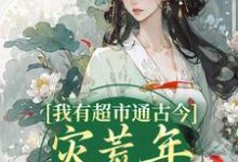 完结版《我有超市通古今,灾荒年救了全城》章节阅读-贝壳文学