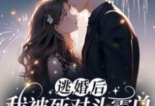 完结版《逃婚后,我被死对头霸总逮回家了》章节阅读-贝壳文学