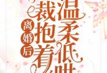 离婚后，总裁抱着前妻温柔低哄厉柏琛夏千歌小说免费阅读-贝壳文学