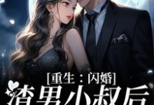 重生:闪婚渣男小叔后,她赢麻了小说的无弹窗阅读体验,寻找免费阅读网站-贝壳文学