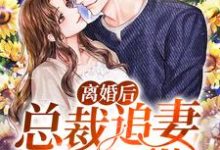 离婚后,总裁追妻有点甜小说阅读,离婚后,总裁追妻有点甜完结版-贝壳文学