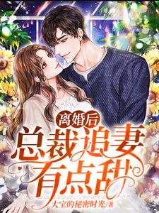 离婚后，总裁追妻有点甜小说阅读，离婚后，总裁追妻有点甜完结版