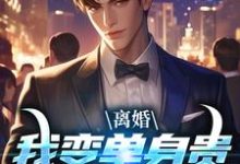 小说《离婚：我变单身贵族强势追爱》在线章节阅读-贝壳文学