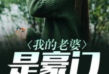 我的老婆是豪门小说完结了吗？在哪里可以免费读到？-贝壳文学