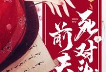 小说《重生后嫁给了前夫死对头》章节免费阅读-贝壳文学
