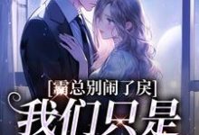 小说《霸总别闹了,我们只是契约婚礼》章节阅读-贝壳文学