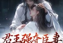 君王强夺臣妻,只为惊鸿一面最新章节,君王强夺臣妻,只为惊鸿一面章节在线阅读-贝壳文学