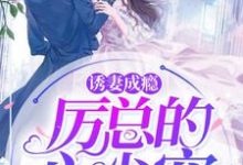 诱妻成瘾：厉总的心尖宠小说，诱妻成瘾：厉总的心尖宠最新章节-贝壳文学