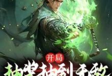 《开局抽奖抽到无敌,这还玩吗?》小说大结局免费试读 帝一小说-贝壳文学