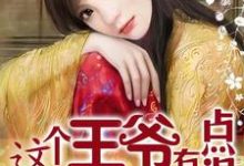 这个王爷有点混小说阅读,这个王爷有点混完结版-贝壳文学
