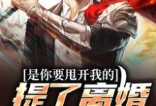 《是你要甩开我的，提了离婚你哭啥？》小说章节在线试读，《是你要甩开我的，提了离婚你哭啥？》最新章节目录-贝壳文学