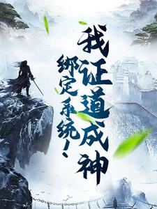 赵琰小说叫什么（绑定系统！我证道成神免费阅读）