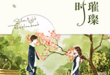 他来时星光璀璨免费阅读，他来时星光璀璨章节目录-贝壳文学