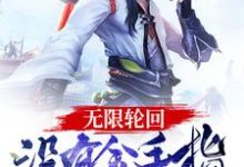 无限轮回:没有金手指的我悲剧了小说,无限轮回:没有金手指的我悲剧了章节在线阅读-贝壳文学