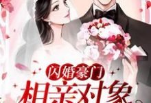 《闪婚豪门:相亲对象是大佬》全集免费在线阅读(许南音陆南骁)-贝壳文学
