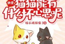 快穿:猫猫能有什么坏心思呢小说无弹窗阅读的网站推荐-贝壳文学