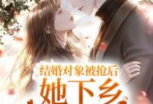 已完结小说《结婚对象被抢后,她下乡闪婚双胎了》章节在线阅读-贝壳文学