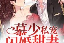 慕少私宠闪婚甜妻宋语歌慕南晟宋建国，慕少私宠闪婚甜妻章节在线阅读-贝壳文学