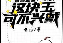 直播鉴宝:宝友,这块玉可不兴戴免费阅读,直播鉴宝:宝友,这块玉可不兴戴秦夜罗小玲-贝壳文学