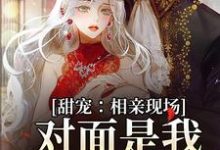 求甜宠：相亲现场，对面是我暗恋对象小说免费资源-贝壳文学