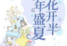 小说《那年盛夏花开半》章节免费阅读-贝壳文学