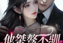 他桀骜不驯，却十分好撩小说全文哪里可以免费看？-贝壳文学