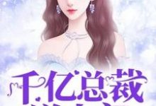 小说《千亿总裁送上门》章节免费阅读-贝壳文学
