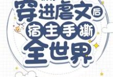 《快穿：穿进虐文后宿主手撕全世界》小说大结局免费试读 顾黎轮回盘小说-贝壳文学