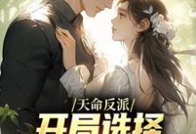 曹昆小说天命反派：开局选择威胁主角母亲在线阅读-贝壳文学