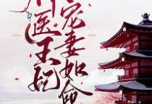 在线免费阅读神医王妃:皇叔宠妻如命完整小说-贝壳文学
