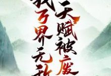 小说《天赋被废后，我万界无敌》在线章节阅读-贝壳文学