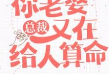 小说《总裁，你老婆又在给人算命》章节免费阅读-贝壳文学