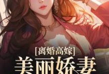完结版《离婚高嫁：美丽娇妻哪里逃》章节阅读-贝壳文学