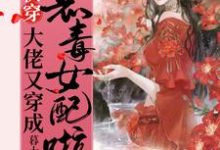 快穿:大佬又穿成恶毒女配啦!小说,快穿:大佬又穿成恶毒女配啦!最新章节-贝壳文学