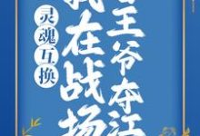 哪里可以免费找到灵魂互换:我在战场替王爷夺江山?-贝壳文学