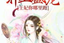 小说《重生：邪王盛宠，王妃你哪里跑》章节免费阅读-贝壳文学
