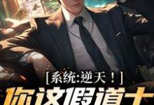 叶观小说叫什么(系统:逆天!你这假道士有点水平免费阅读)-贝壳文学
