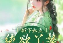 哪里能找到裙下权臣:纯欲丫鬟媚色诱宠小说的全部章节?-贝壳文学